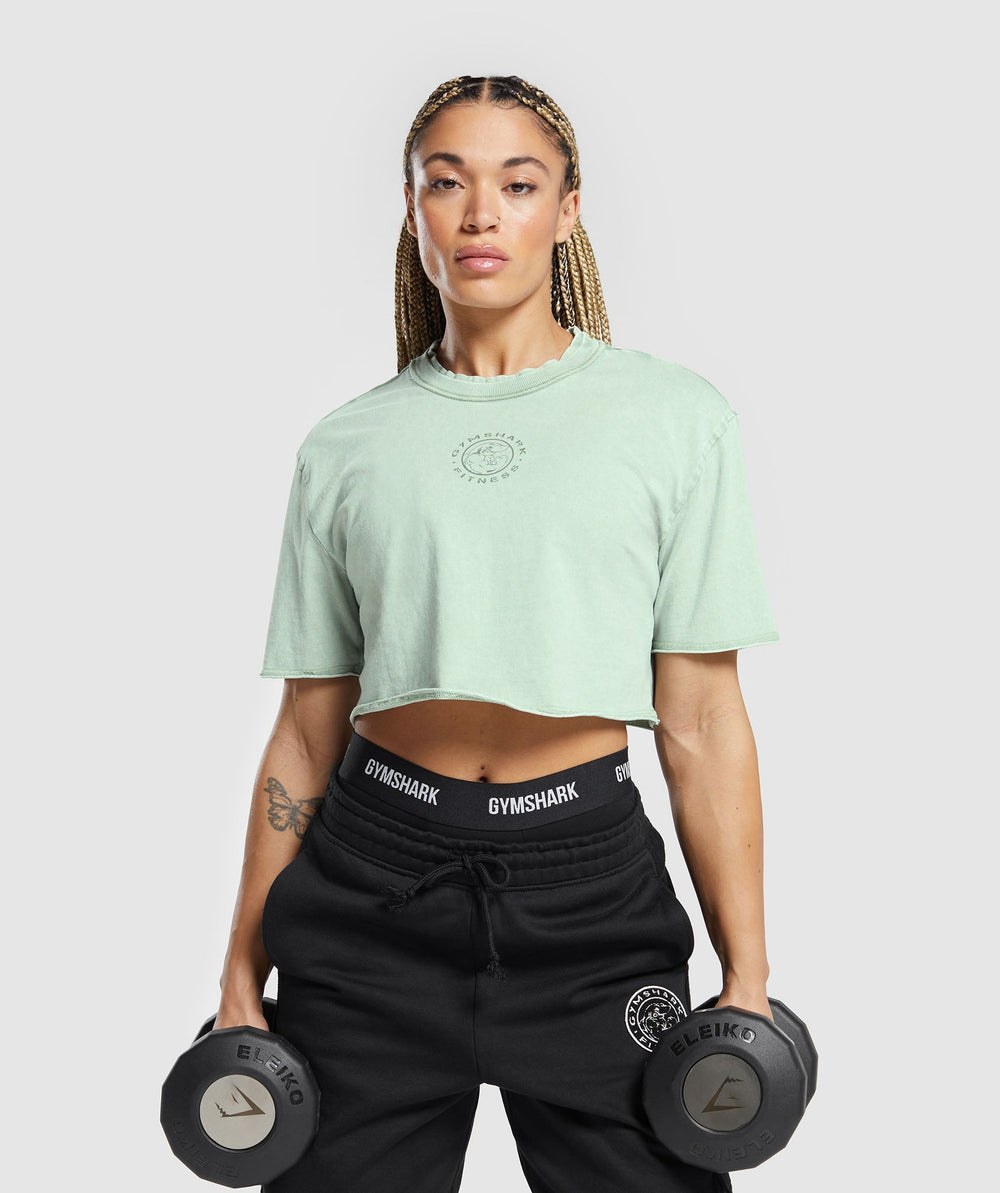 Legacy Washed Crop Top Faded Green