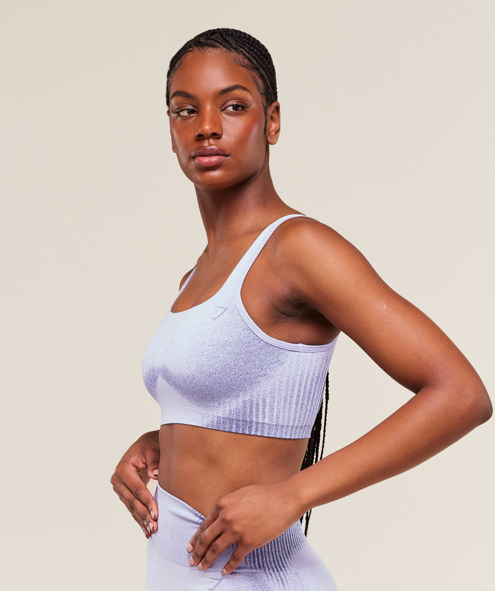 Diffuse Seamless Sports Bra Fresh Lilac/Cobalt Purple