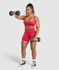 Gains Seamless Washed Sports Bra Carmine Red
