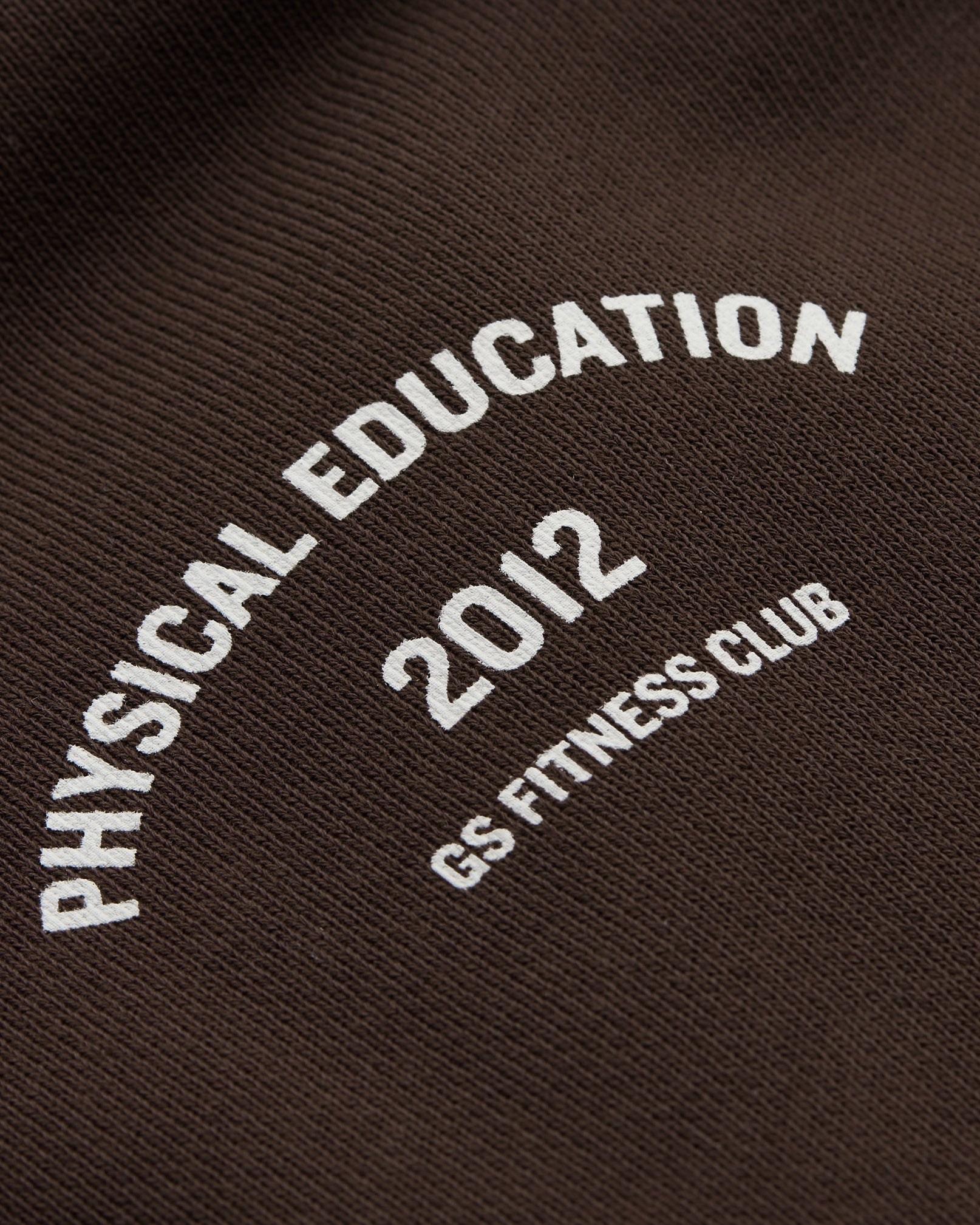 Phys Ed Graphic Hoodie Archive Brown