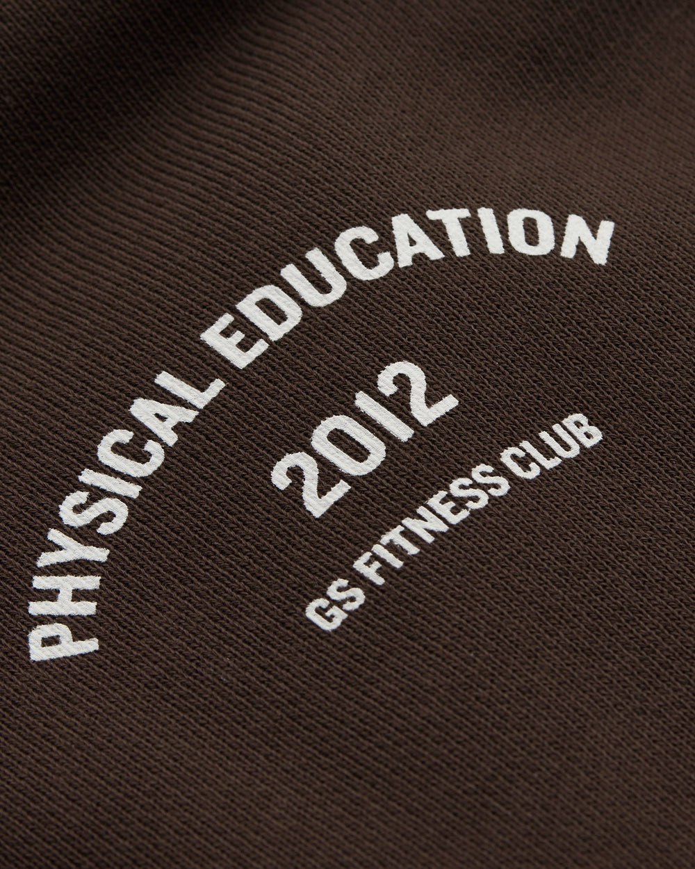 Phys Ed Graphic Hoodie Archive Brown