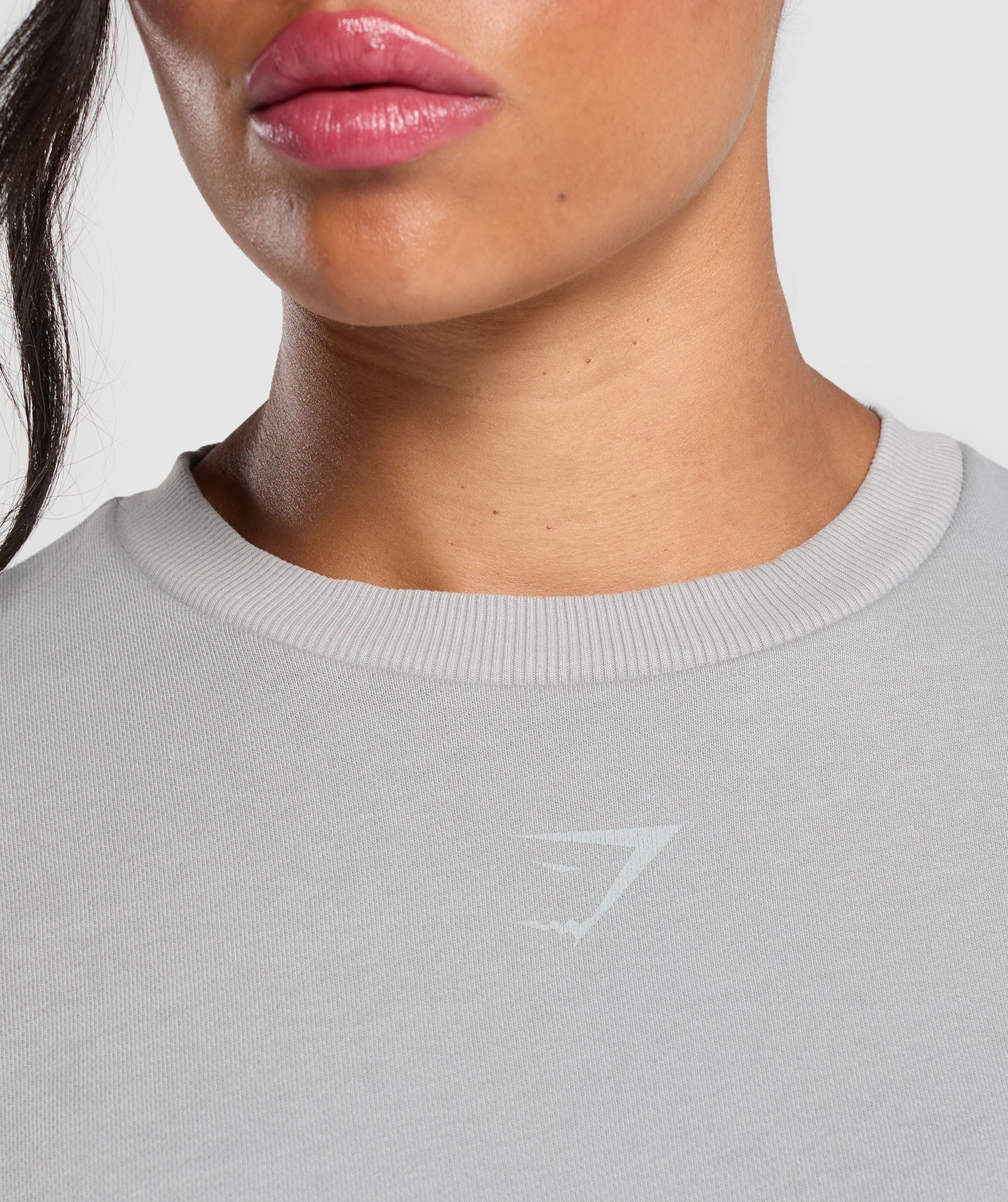 Power Washed Sweatshirt Silver Grey