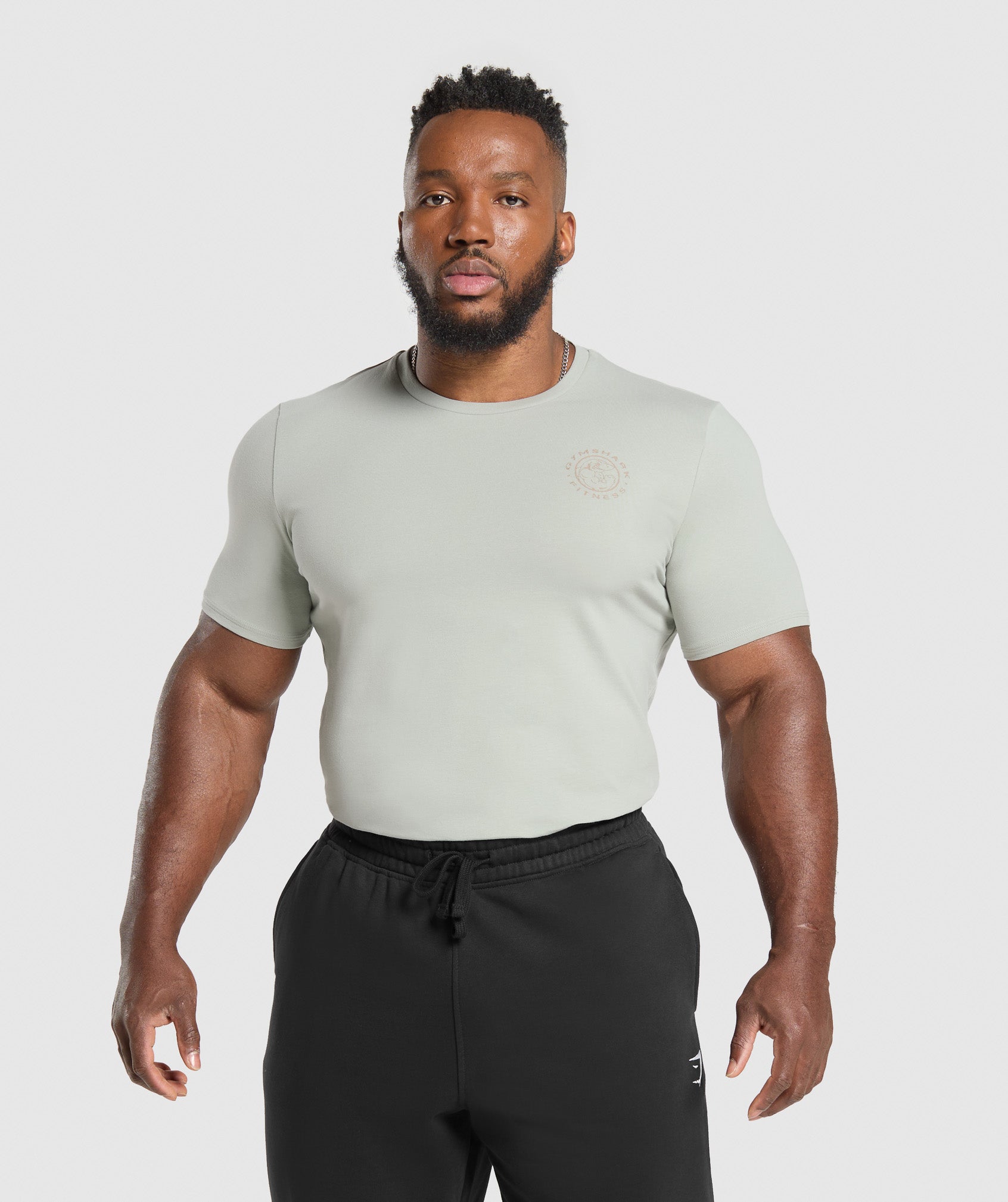 Legacy T-Shirt Stone Grey