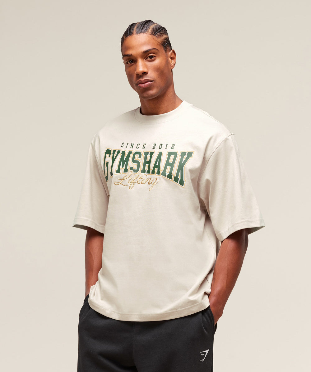 Lifting Essentials T-Shirt Pebble Grey