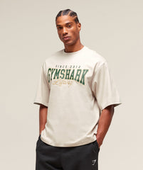 Lifting Essentials T-Shirt Pebble Grey