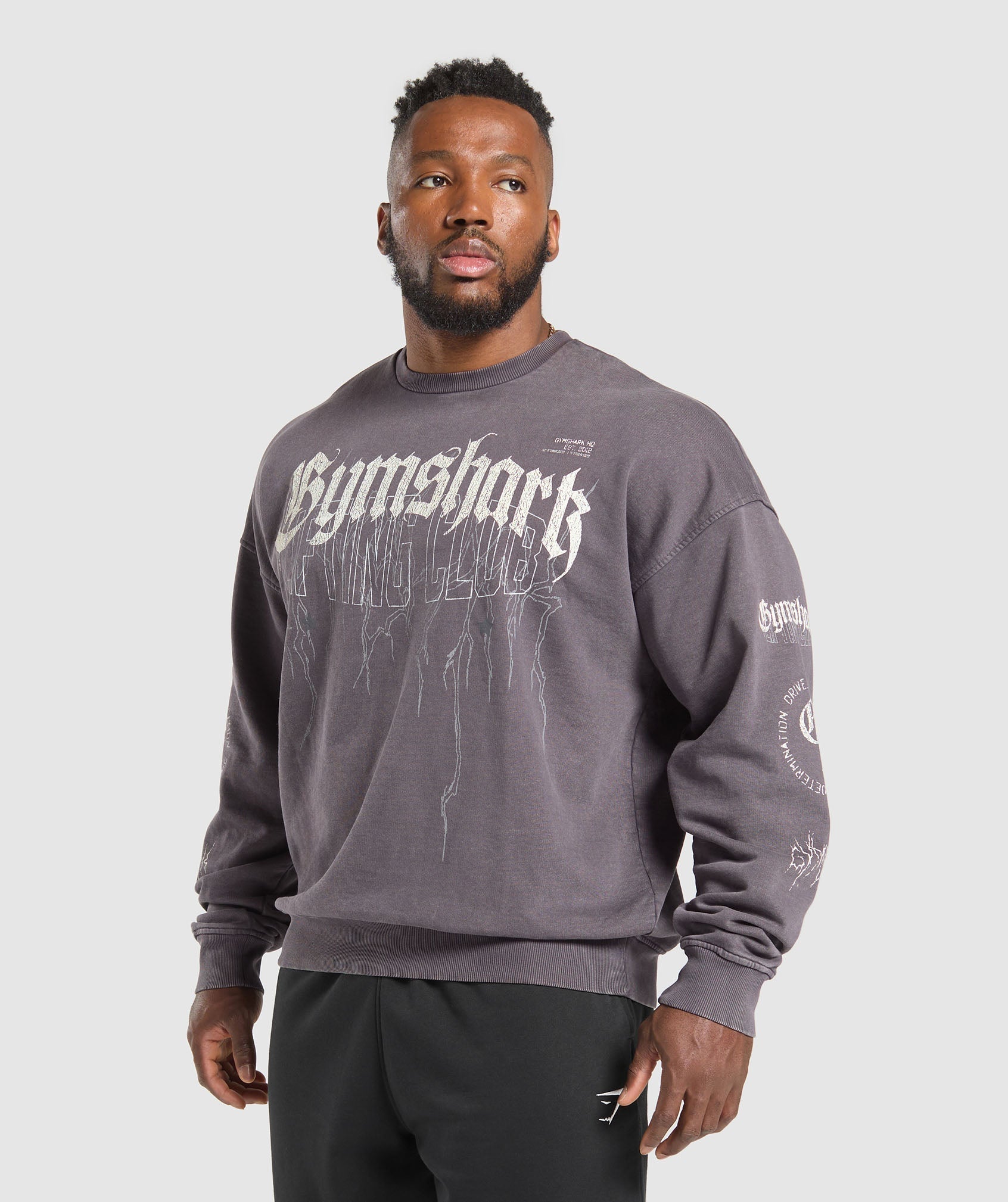 Distressed Graphic Crew Brushed Purple Acid Wash