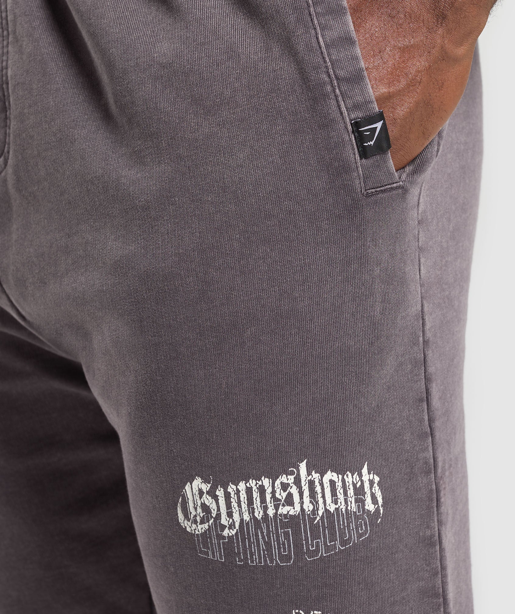 Distressed Graphic Joggers Brushed Purple Acid Wash
